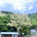 민둥산로 입구 | [등산일기] 강원도 정선 민둥산 돌리네 등산 후기