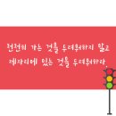 (주)대성약품 이미지