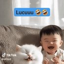 천만불짜리 미소 이미지
