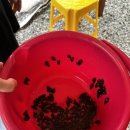 부귀로1400 이미지