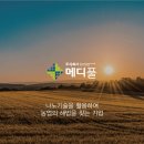메디풀(Medipool) 이미지