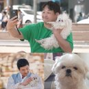 스타견 | 구성환 꽃분이 이별 소식과 국토대장정 감동 후기