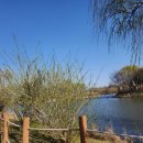 바람새마을 이미지