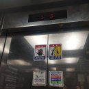 경기도늘푸른노인복지관 이미지