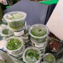 엔젤아쿠아펫가든 이미지