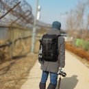 염하강철책길 이미지