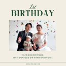 성공적인 돌끝맘의 돌잔치 스냅후기, 아이조아스냅 최고