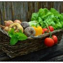 경희강추한의원 이미지