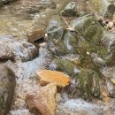 중원계곡(주차장) | 양평 용문산 중원계곡 주차장 애견동반 완전 힐링!