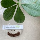 경희일침한의원 이미지