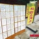 한국직업소개소 이미지