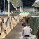 윤슬농장 이미지