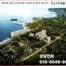 주식회사 엘리프