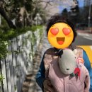 남사친투어 이미지