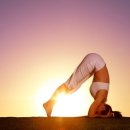 DOB휘트니스 이미지