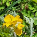 구암 (주) 이미지