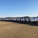 자작나무 펜션 이미지