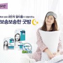 릴리안 이미지