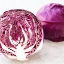 리바디짐 이미지