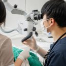 청담에이치치과의원 이미지