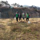 무궁화비료 이미지