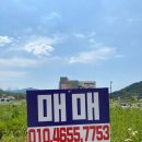 현부동산공인중개사사무소 | [원주 인근] 수익형 블루베리 농장 매매! 충주 엄정면 계획관리지역 2천평 대형 토지