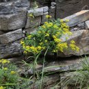 덕산기에서 이미지