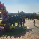 고성군 게이트볼장 화장실 | 🦖 2025 고성공룡엑스포 방문 후기 1 _ 메인은 주제관 공룡먹이주기! 마음껏 즐긴 평일 여유