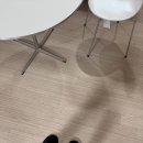 가구투어 (프리츠한센,칼한센,잭슨카멜레온,usm,리네노제,무브먼트랩 방문기)