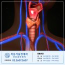 목동서울청내과의원 네이버블로그