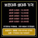 신함농장 | 보은생대추 구매후기 생대추 가격정보 , 이번 구매도 성공적!!