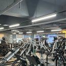 타임 휘트니스 네이버블로그