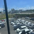 호텔이냥 | 대전근교 청주카페 PETRA;페트라__청주신상카페 대형 베이글카페 생겼어요!!!+포토존도 가득!!!💚