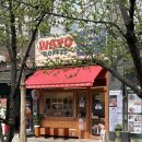 강아지 와요와요 | 김포 운양동 애견동반카페 '와요커피 김포운양점' 내돈내산 솔직후기 / 강아지 실내 동반까지 가능한...