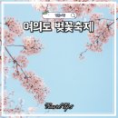 내일도 럭키 | 여의도 벚꽃축제 호텔스컴바인 맥스 팝업 부스 후기 트래블 라운지 럭키드로우 꽝 없는 이벤트 후기