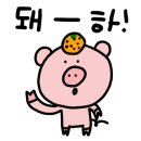 419초밥 이미지
