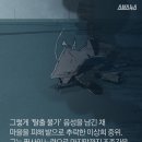 전방마을 이미지