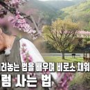 '자급자족 내 밥상' 자연요리연구가 문성희 | 자연의 철학자들 11부 '덜어내니, 비로소 편안해지네' 이미지