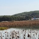 차부떡방앗간 - 태안군 장터로 123-4 | 차부떡방앗간