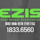 이지스(EZIS)