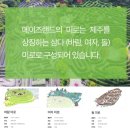 제주여행 : 비자림 숲 메이즈랜드 미로공원