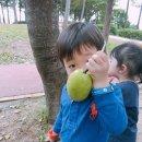 모과아래