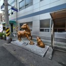 하늘축산 | 마장동 하늘축산 후기 아내의 오랜 소원 성취한 살치살·갈비살 방문기