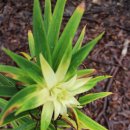 거북가든 이미지