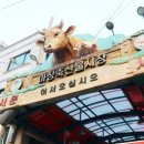 시장한우축산