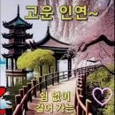 낭만포차한식점심부페 이미지