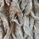 정선고등학교 이미지