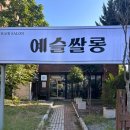 예슬쌀롱 헤어 화정점, 여성 커트 + 전체염색후기 “혜림디자이너”