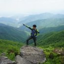 충일투어