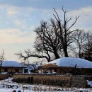 시골풍경 이미지